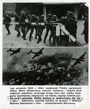 WWII Photograph Collection