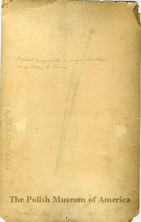 Polish Army in France